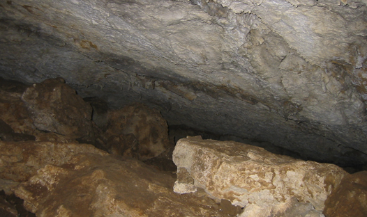 Les coves de Santa Anna